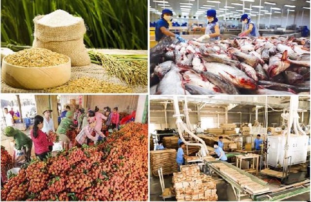 Nông sản Việt thích ứng tiêu chuẩn xuất khẩu mới - Ảnh 1