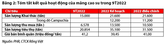 Nguồn: Báo cáo VDSC