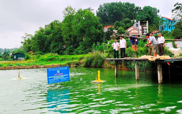 Mô hình ứng dụng công nghệ chuyển đổi số nuôi thâm canh cá nước ngọt tại phường Hòa Chung (Thành phố). 