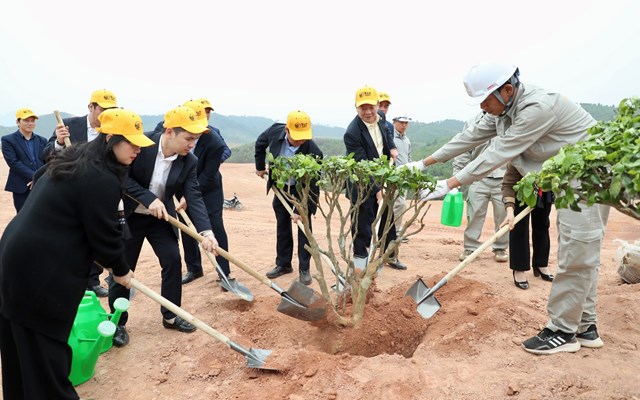 Phát động trồng cây phủ xanh 16 ha dự án sân golf tại tỉnh Phú Thọ - Ảnh 1