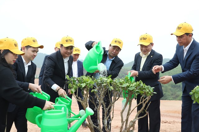 Phát động trồng cây phủ xanh 16 ha dự án sân golf tại tỉnh Phú Thọ - Ảnh 2