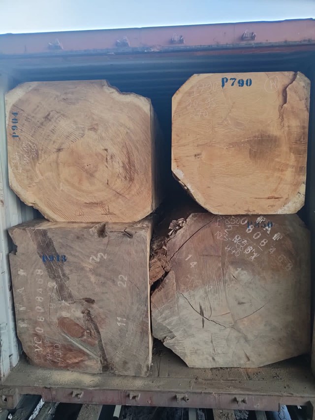 Hải Ph&#242;ng: Khai trương C&#244;ng ty TNHH Xuất nhập khẩu gỗ Đại Ph&#225;t - Ảnh 4
