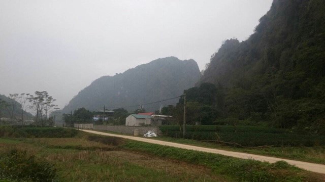 Xã Phú Đô, huyện Phú Lương (Thái Nguyên) về đích NTM năm 2018, trong năm 2024 hướng đến xây dựng NTM nâng cao, trong đó cây trông chủ lực và thế mạnh của xã là cây chè.