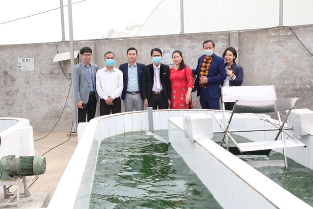 Mô hình nuôi trồng, chế biến tảo xoắn của Đại Việt nhận được sự đánh giá cao của giới chuyên môn và người tiêu dùng.