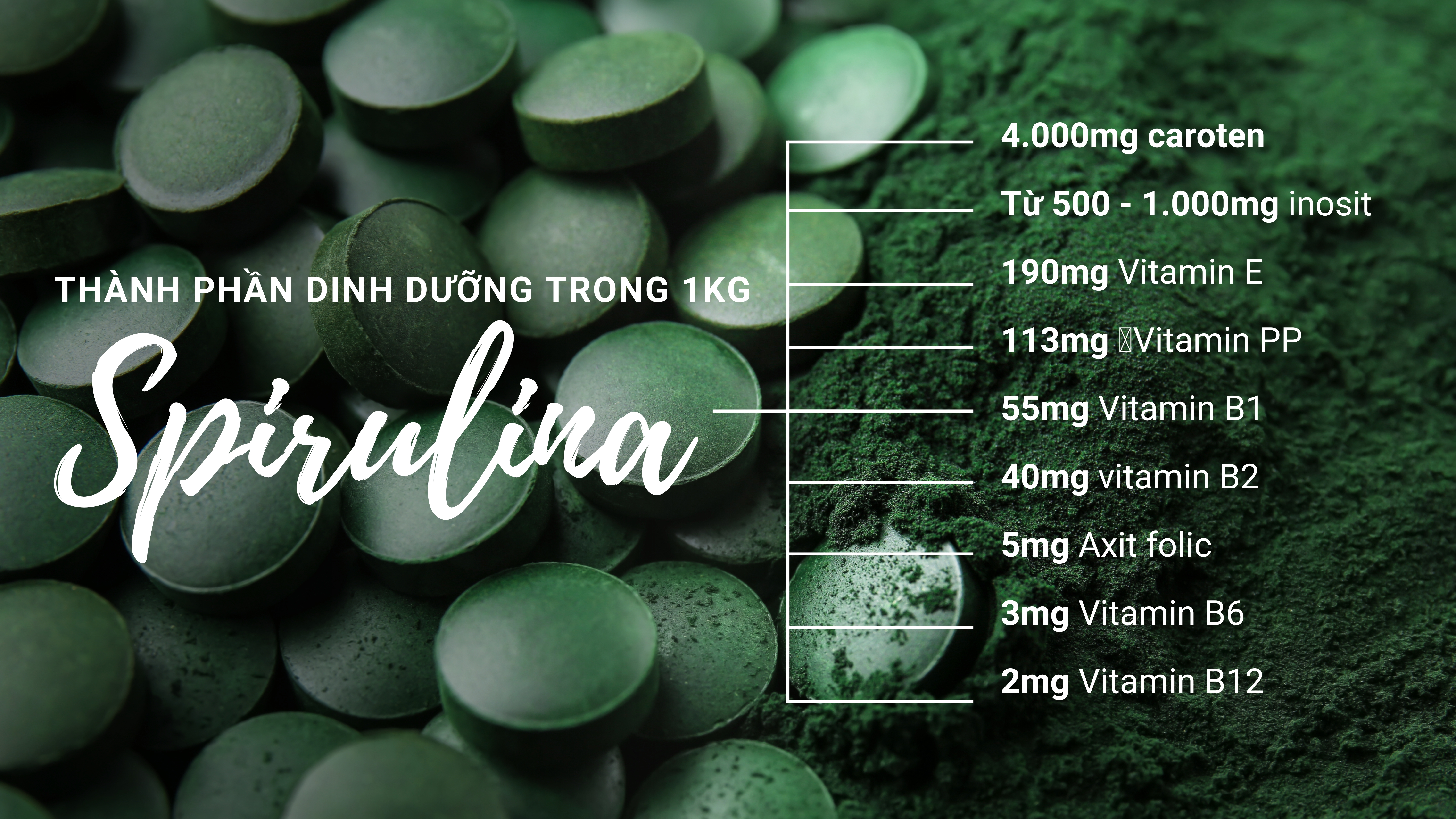 Tập đoàn Đại Việt và hành trình đưa tảo Spirulina đến người dùng Việt  - Ảnh 3