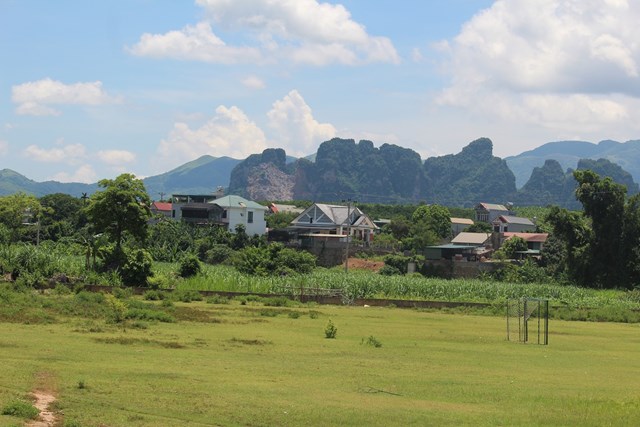 rên địa bàn xã Tây Phong hiện nay có khoảng 300 ha diện tích trồng cây mía tím mang lại kinh tế cao cho bà con nông dân. Ả.nh: Phi Long