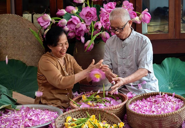 Bà Lưu Thị Hiền vợ nghệ nhân Ngô Văn Xiêm (người ướp trà sen số 1 Hà thành) đang cùng ông tách cánh hoa ra khỏi bông sen.