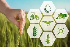 Nông nghiệp xanh: Nhu cầu của thị trường và thách thức của người sản xuất