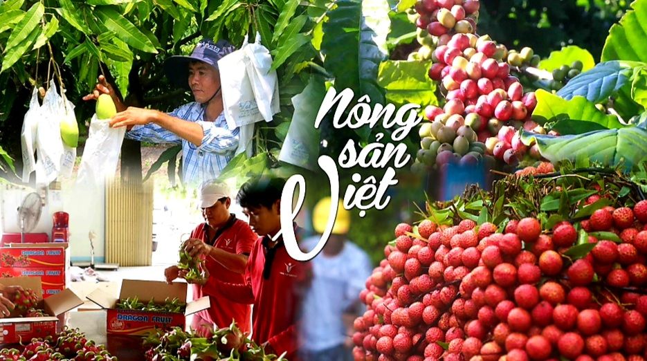 Thương hiệu nông sản Việt đang ở đâu trên thị trường quốc tế?