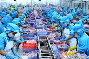 Bản tin nông sản 18/6: Cơ hội cho cá tra Việt Nam tại thị trường Mỹ và EU