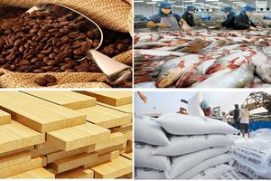 Xuất khẩu nông sản 4 tháng đầu năm bứt phá: Gạo, cà phê, rau quả dẫn đầu
