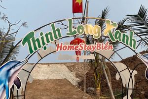 Homestay Biển - Thịnh Long Xanh: Chạm vào bình yên bên bờ biển tại Nam Định