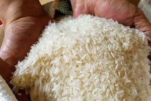 Năm 2023 xuất khẩu gạo đạt đạt kỷ lục 4,78 tỷ USD