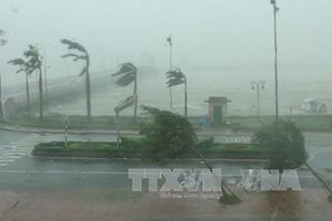 Dự báo một số cơn bão mạnh ảnh hưởng tới Trung Bộ và Nam Bộ từ nay đến cuối năm