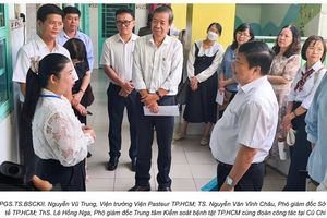 Bệnh tay chân miệng trở lại chu kỳ tăng: Viện Pasteur TP.HCM khuyến cáo phòng dịch