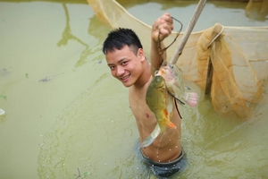 Tuyên Quang: Hàng trăm người tham gia bắt cá bằng tay không tại "Lễ hội bắt cá"