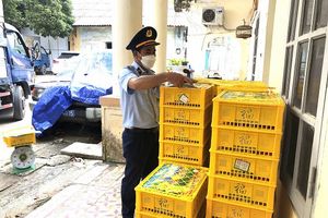 Lạng Sơn: Tạm giữ 1,65 tấn Nho xanh nhập lậu