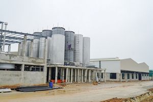 Quảng Trị: Đề xuất mở rộng quy mô nhà máy bia TTC