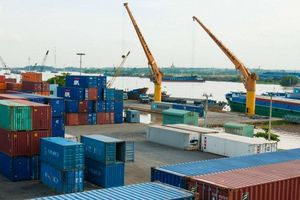 Cảng Phước An (PAP) báo lỗ do không ghi nhận doanh thu trong quý I/2022