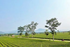 Hà Tĩnh: Phát triển sản xuất, chăn nuôi đưa xã miền núi thoát nghèo