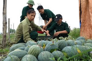 Cựu chiến binh tỉnh Yên Bái đoàn kết thi đua phát triển kinh tế, xóa đói giảm nghèo