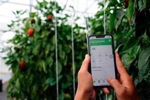 Đưa nông sản lên sàn: Khi nông nghiệp bắt nhịp chuyển đổi số