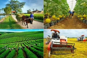 Quyết liệt tái cơ cấu ngành nông nghiệp
