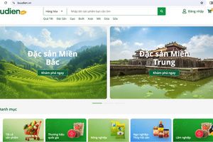Buudien.vn: Nền tảng thương mại điện tử chuyên biệt cho nông sản Việt Nam