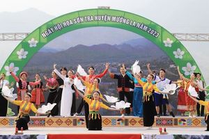 Sơn La: Tưng bừng khai mạc Ngày hội Hoa sơn tra huyện Mường La năm 2023