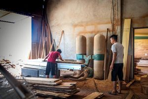 Nghệ An: Phấn đấu đưa kim ngạch xuất khẩu gỗ và lâm sản ngoài gỗ đến năm 2025 đạt trên 1 tỷ USD