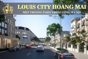 Dự án Louis City Hoàng Mai: Bán 'lúa non' dù chưa xây xong hạ tầng?