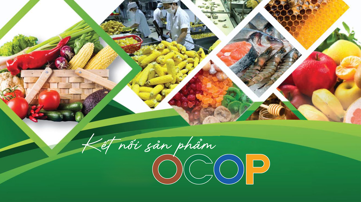 Chương trình OCOP – nền tảng vững chắc xây dựng nông thôn mới - Sản phẩm  Ocop tỉnh Bình Định