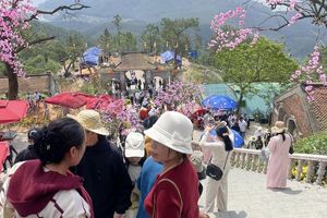 Du lịch Hà Tĩnh đón gần 210.000 lượt khách dịp Tết 2026
