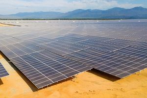 Đầu tư điện mặt trời: Đấu thầu dự án là tối ưu