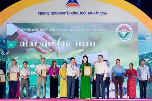 Chè búp xanh Yên Thủy - Hòa Bình: Được công nhận sản phẩm công nghiệp nông thôn tiêu biểu tỉnh năm 2024