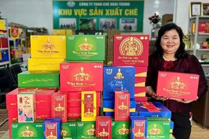 Nữ doanh nhân điển hình tiên tiến trong phong trào xây dựng Nông thôn mới