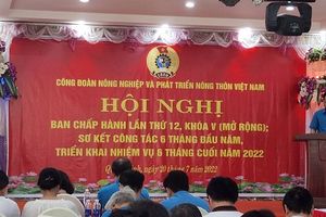 Công đoàn Nông nghiệp và PTNT Việt Nam tổ chức Hội nghị Ban chấp hành lần thứ 12, khóa V