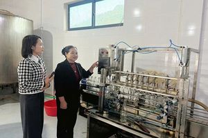 Hà Tĩnh: Lần đầu có 2 sản phẩm đạt tiêu chuẩn OCOP 5 sao