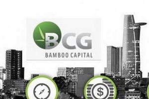 Bamboo Capital báo lãi quý IV đạt 271 tỷ đồng, tăng 54%