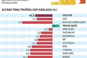 [Infographics] OECD dự báo GDP toàn cầu năm 2020 giảm 4,5%