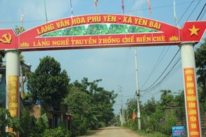 Hà Nội: Huyện Ba Vì phát triển sản xuất kinh doanh và chế biến sản phẩm chè Phú Yên