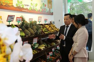 DalatFOODIE khai trương cửa hàng thực phẩm hữu cơ đầu tiên tại Hà Nội