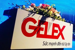HĐQT Viglacera chấp thuận việc chào mua của Gelex