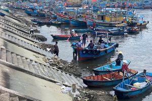 Bộ đội Biên phòng tỉnh Bà Rịa – Vũng Tàu nỗ lực thực hiện nhiệm vụ được giao