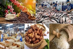 6 mặt hàng nông sản Việt Nam dự kiến xuất khẩu chủ lực trong nửa cuối 2023