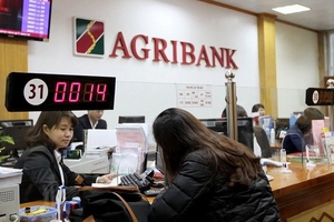 Agribank bán đấu giá lần thứ hai khoản nợ xấu trên 700 tỉ đồng