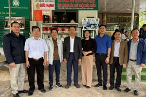 Xã Đạo Trù học tập mô hình trồng sâm tại Phúc Hòa