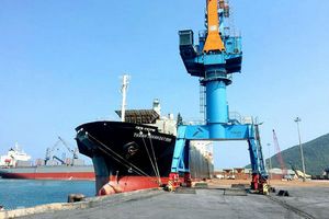 Hà Tĩnh: Hỗ trợ tàu container qua cảng Vũng Áng hàng chục tỷ đồng