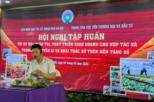 Tối ưu hóa quản trị, phát triển kinh doanh cho hợp tác xã trong kỷ nguyên AI