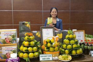 Hội chợ Công thương vùng Bắc Trung Bộ – Hà Tĩnh: Nơi quảng bá sản phẩm vùng miền